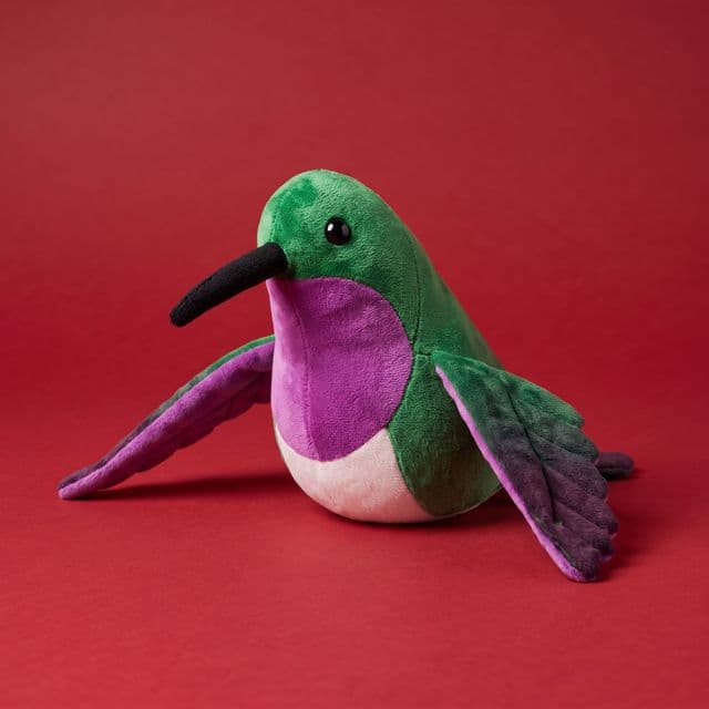 Colibrí