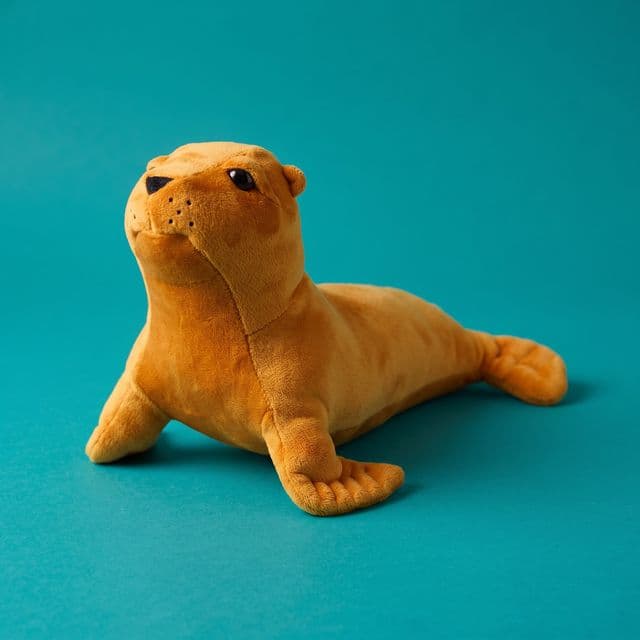 Lobo Marino