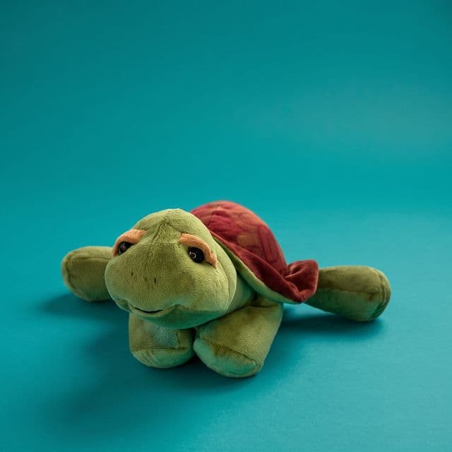 Tortuga Galápagos