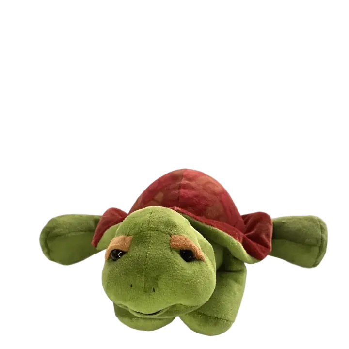 Tortuga Galápagos